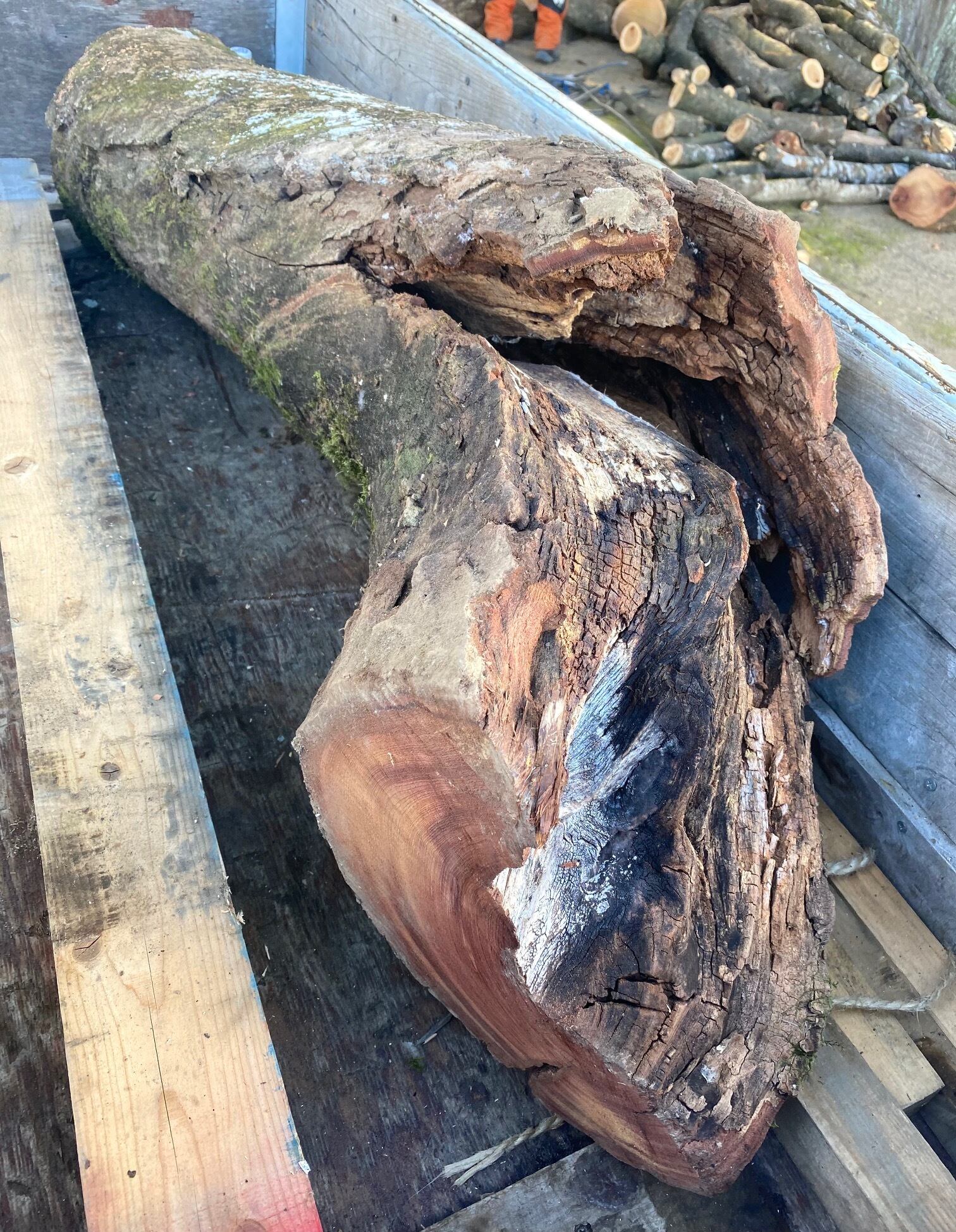 雷神欅（けやき）-5606】ペンシル | 匠衆・朱椿粋