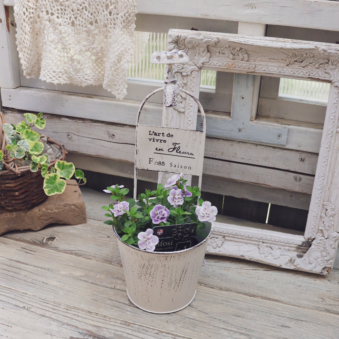 アンティーク風　ブリキ♡鉢 Amazon | GREENHOUSE アンティーク風ブリキポット 2363-C | 鉢