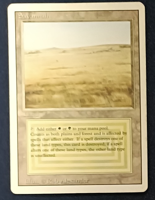 3ED『英語』Savannah 状態HP 画像