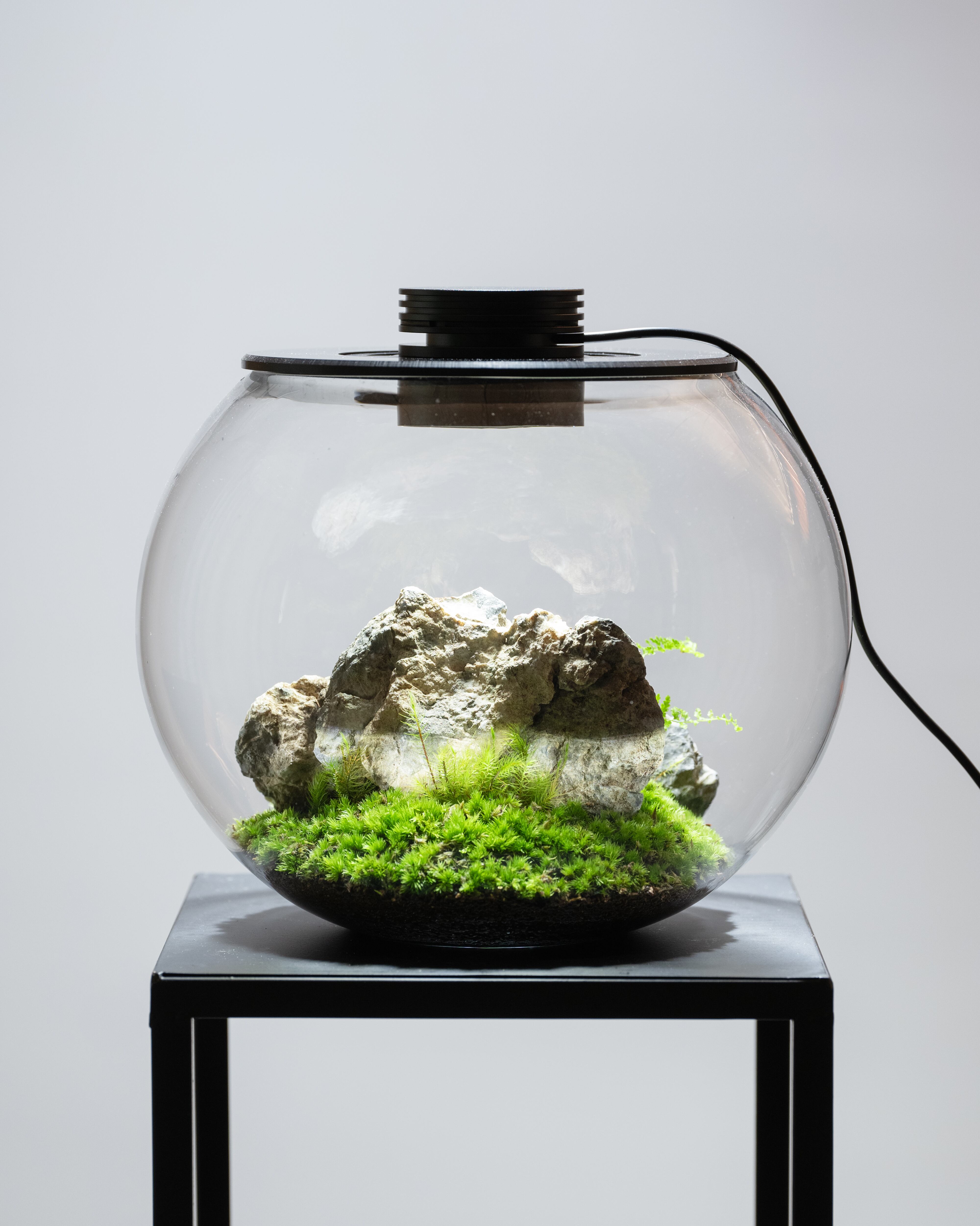 グラステラリウム照明器具、タイマーサーモ等付き 6e4e8c58cb4f27c0b75c46bbaaba95