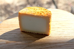 ウォッシュチーズ：KASUGA Medium（カスガ M）
