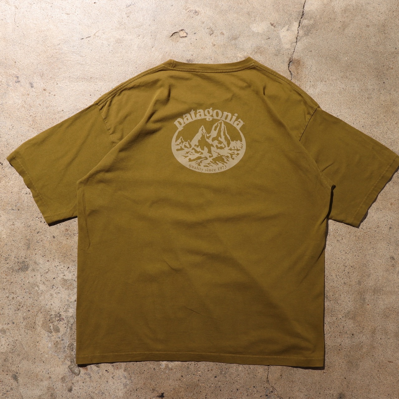 美品 XL Patagonia ベネフィシャル Tシャツ パタゴニア カーキ 緑