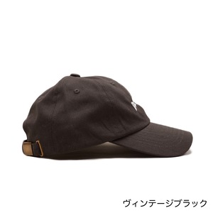 davryu arch CT CAP