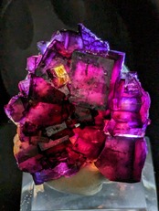 【ご予約品/希少/高品質】フローライト(蛍石)×5個 10000Ritter Mine R5-1147