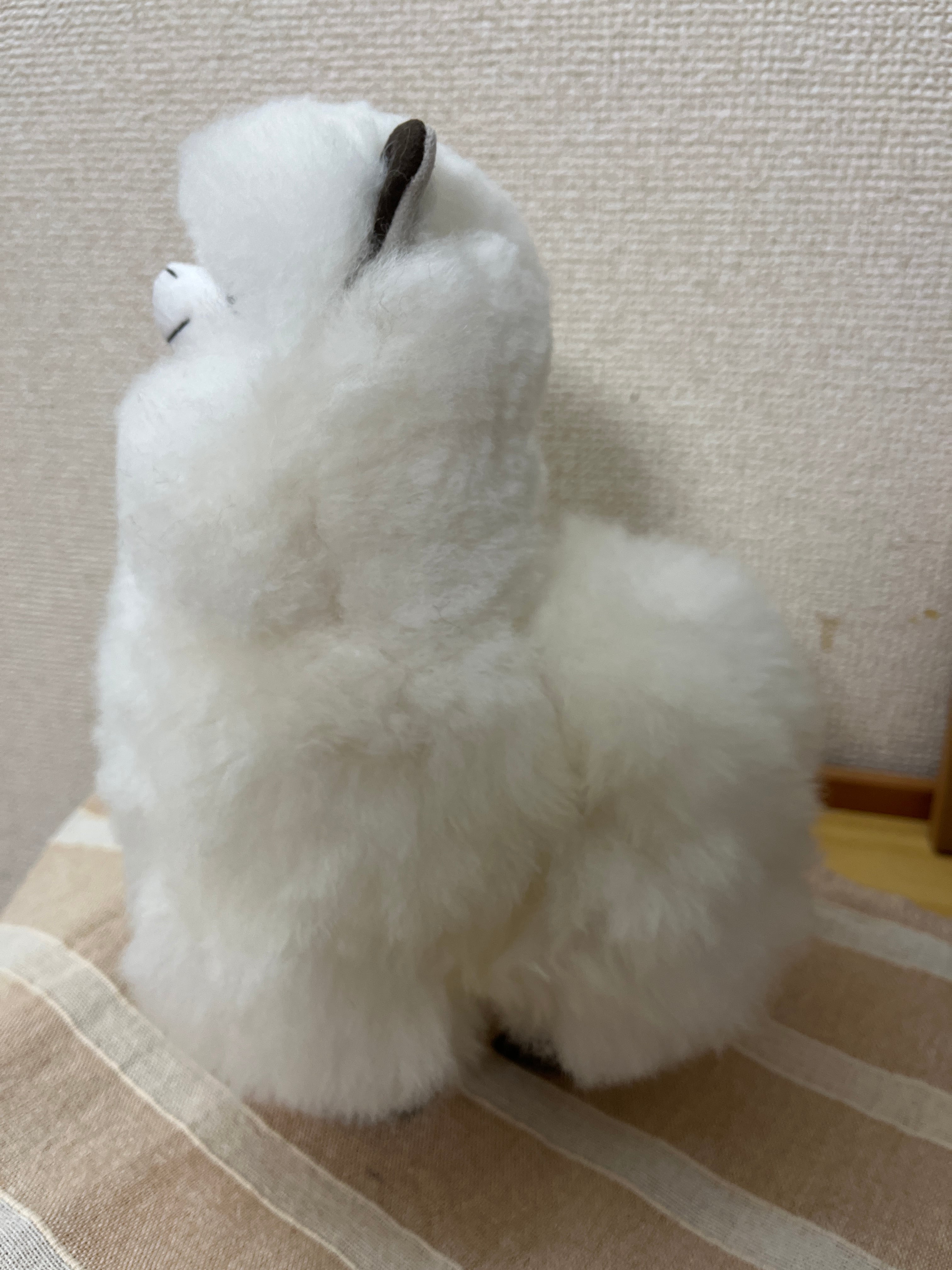 アルパカ純毛人形 25cm 白 Ai | ALPACA WORLD