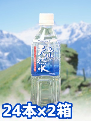 立山の天然水(500ml×24本)2箱【とやまの水】【ナチュラルミネラルウォーター】【立山うまれ認定】