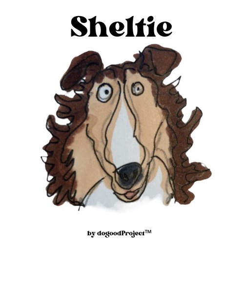 Sheltie(シェルティ)