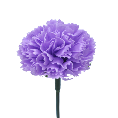 ミニカーネーションMC-PU2 ライトバイオレット (15輪入りor25輪入り)