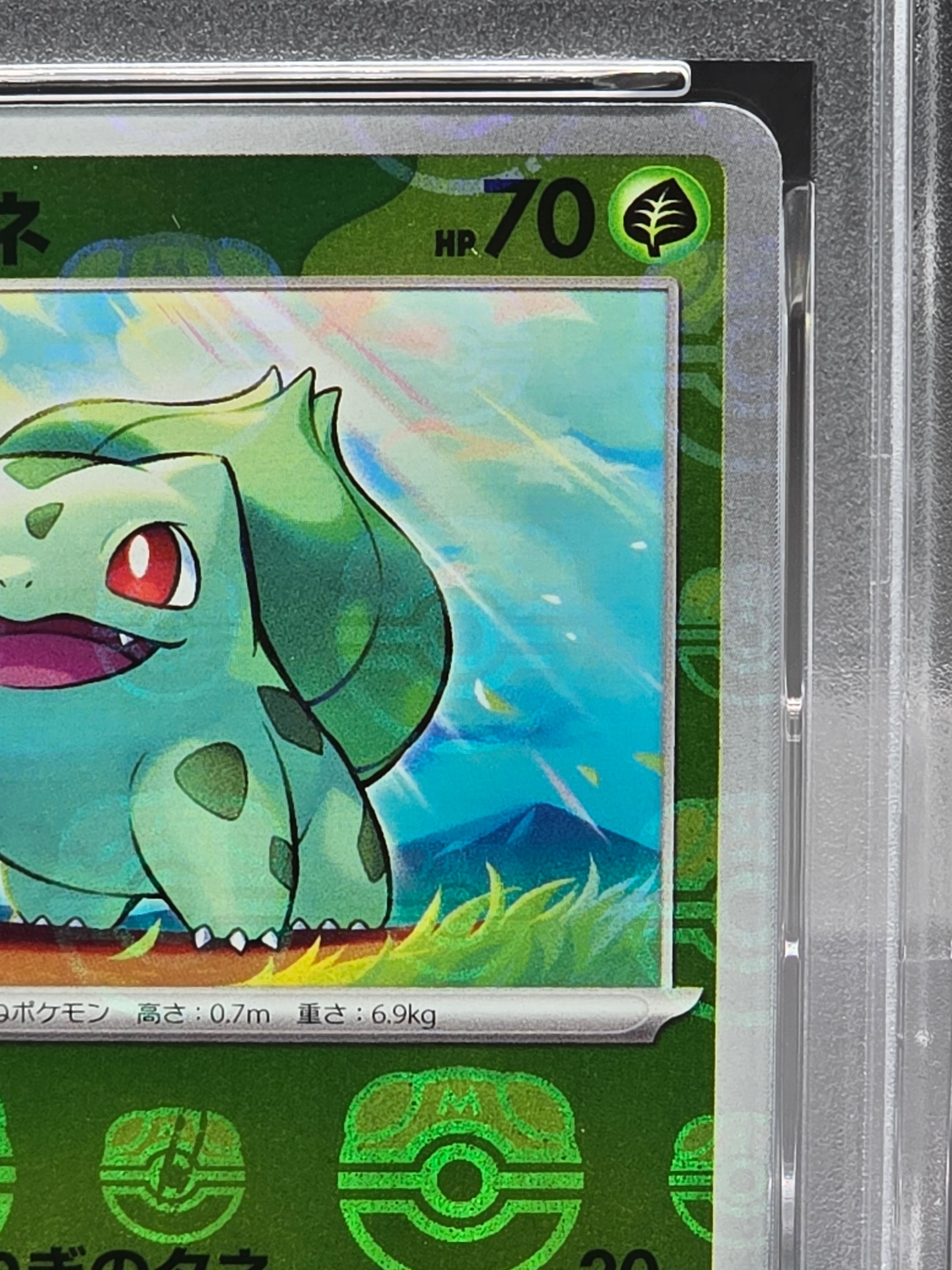 キ*ラ様 フシギダネ マスターボールミラー psa10 PSA10】 フシギダネ マスターボールミラー 001/165 | ぽっけぇ～道