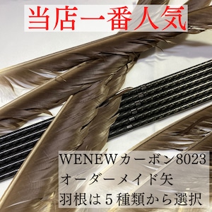 【オーダーメイド矢】WENEWカーボン8023　羽根選択式