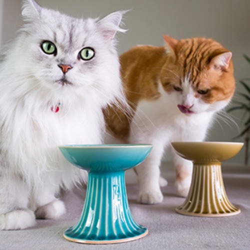 モフー×平安楽堂のオリジナル猫用食器皿「永遠の愛」