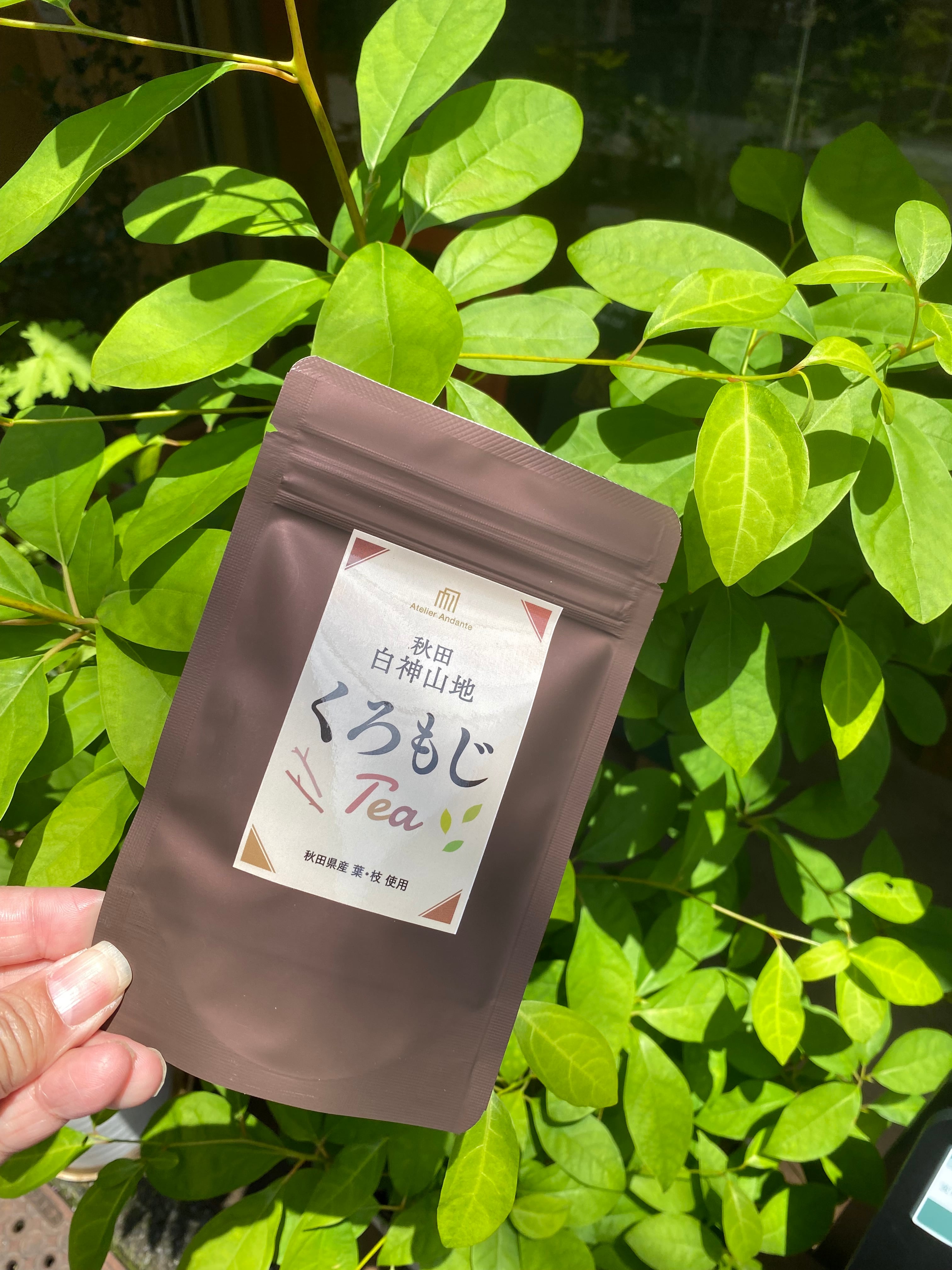 白神山地　クロモジ茶