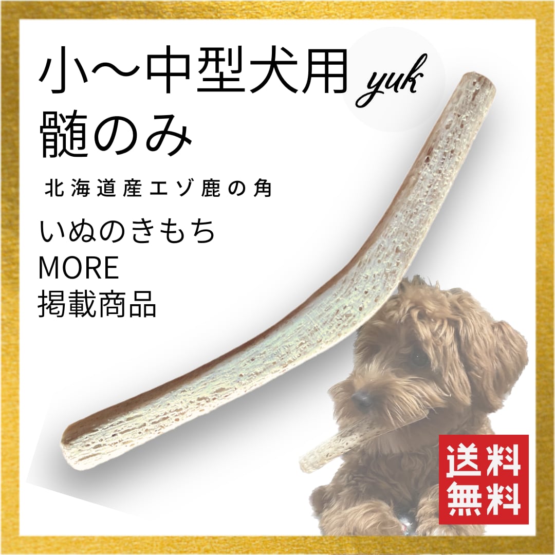 天然鹿の角5対(10本)セット No.7 天然鹿の角5対(10本)セット No.7(鹿の角 ドリンク ゴールド 10