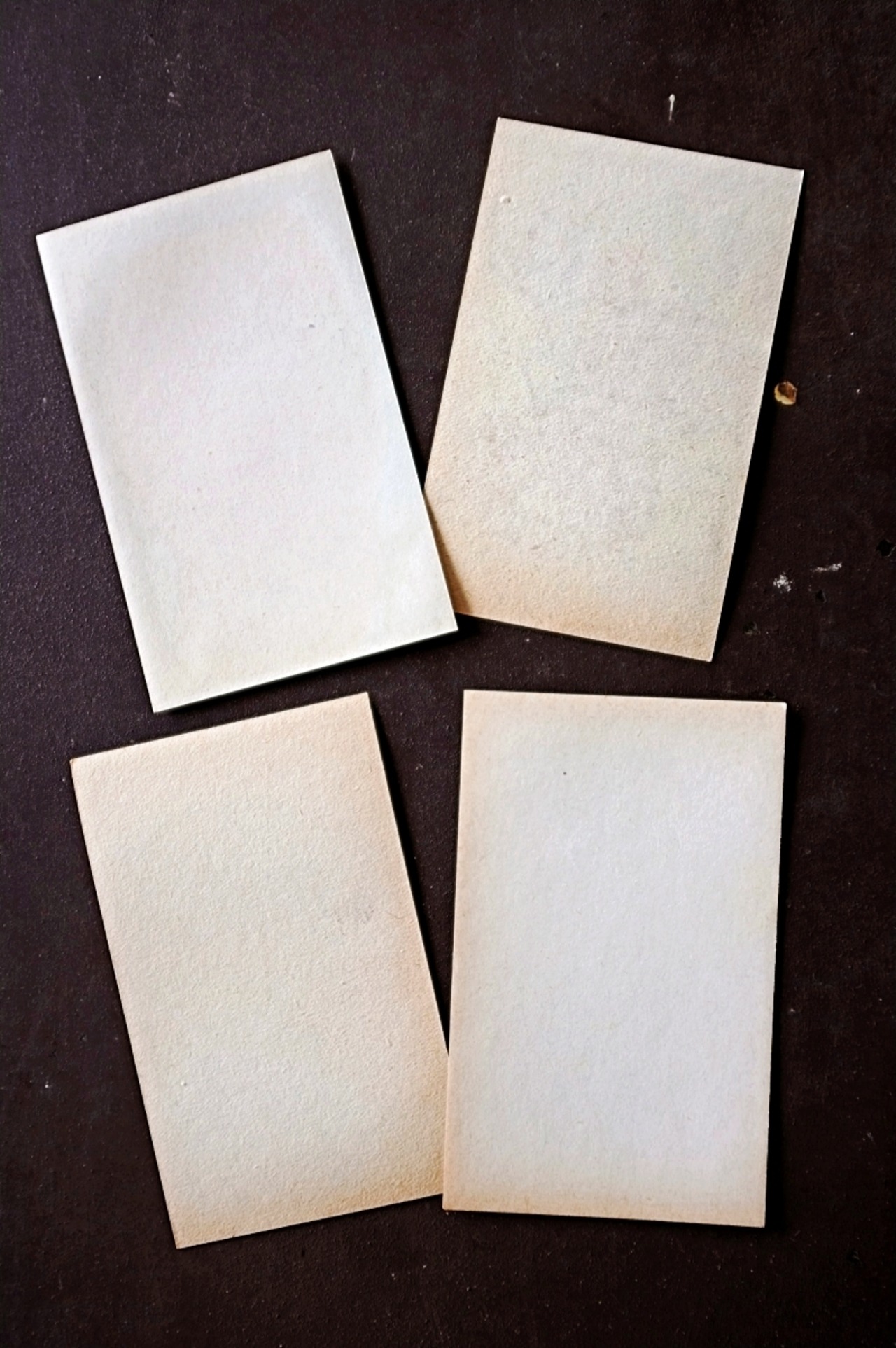 20s フランス 4set 膨満な花々と野菜たち 種子袋用ラベルr アンティーク