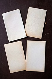 20s フランス 4set 膨満な花々と野菜たち 種子袋用ラベルr アンティーク