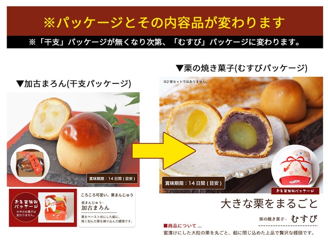 迎春 お年賀「色とりどり」 7種 詰め合わせ #お正月#和菓子#うま年#お祝い