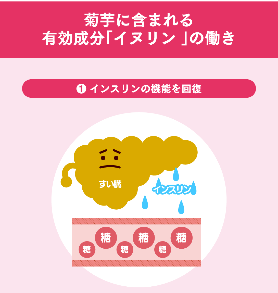 母の日ギフト【機能性表示食品】菊芋の極み 単品2袋