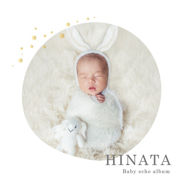 写真が動くエコーフォトブック(デザインC)