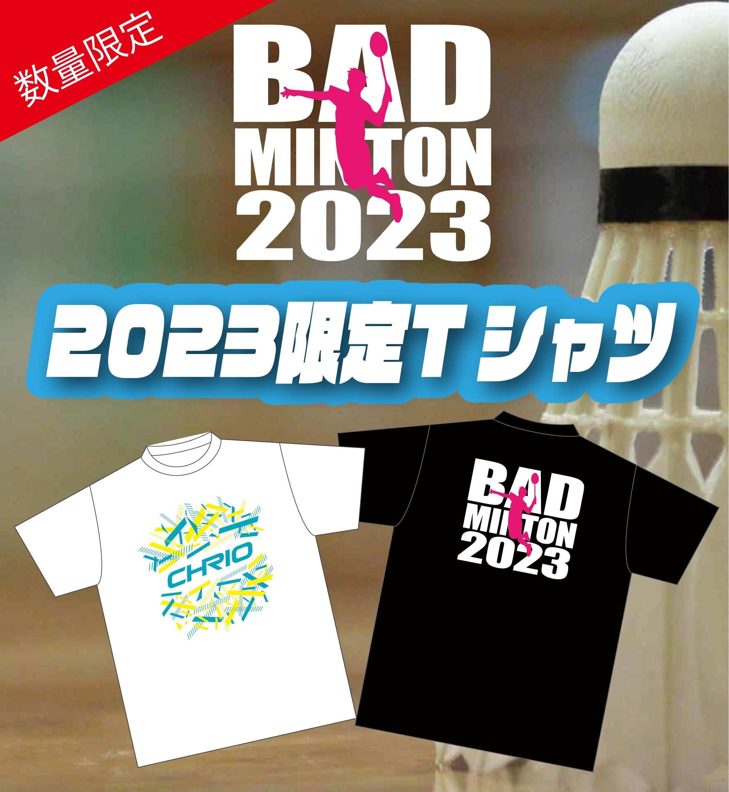 インターハイ2023 限定Tシャツ - バレーボール