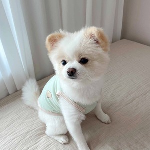【PET】3色展開クマ柄の配色ラインタンクトップ