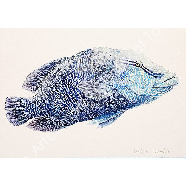 上滝玲子「メガネモチノウオ」