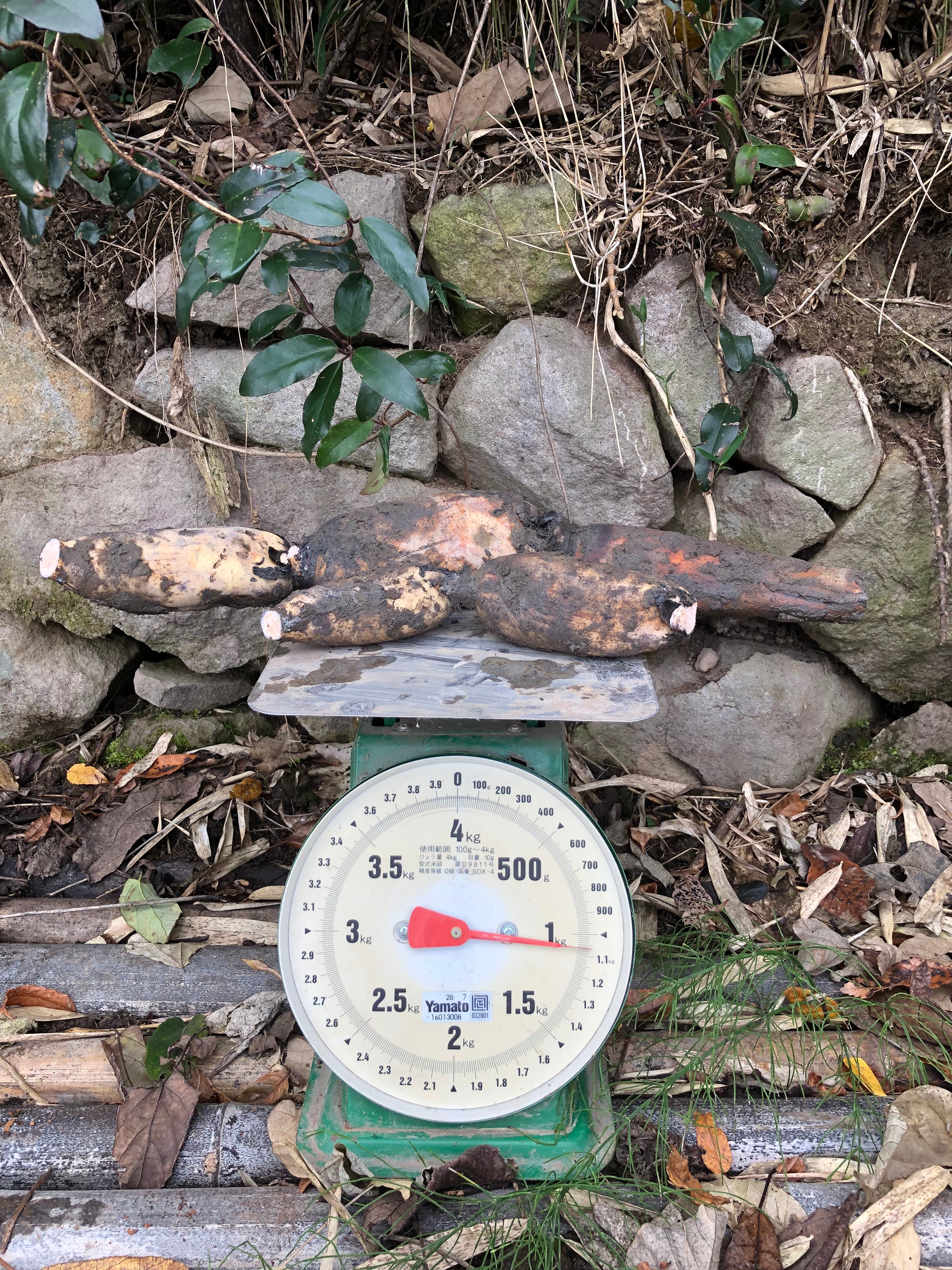 *東日本 業者様専用