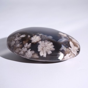 ブラック フラワーアゲート / パーム 握り石