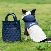 TOREOTTO38 WALKINGBAG