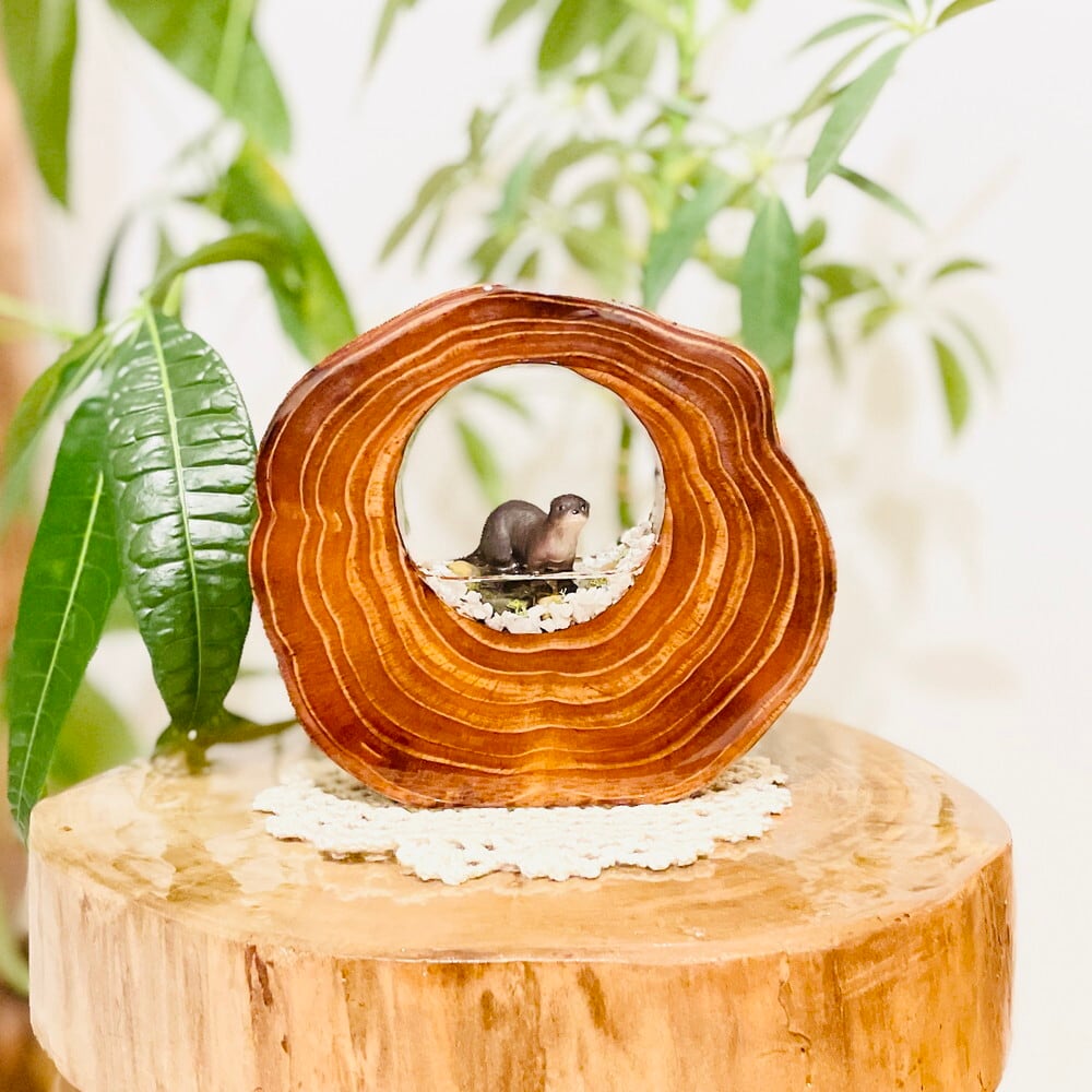 流木雑貨 流木インテリア専門 DriftWoodStyle