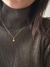 graceful heart necklace