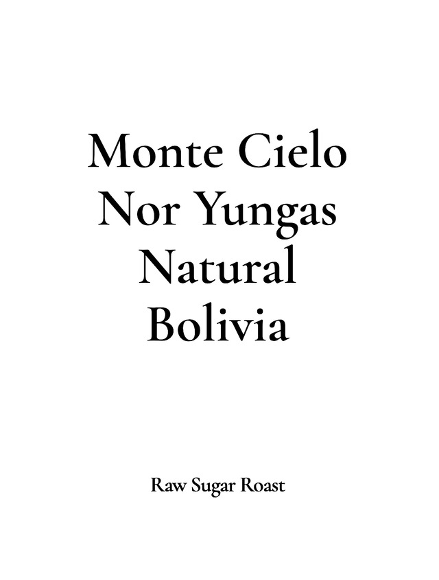 Bolivia | Monte Cielo