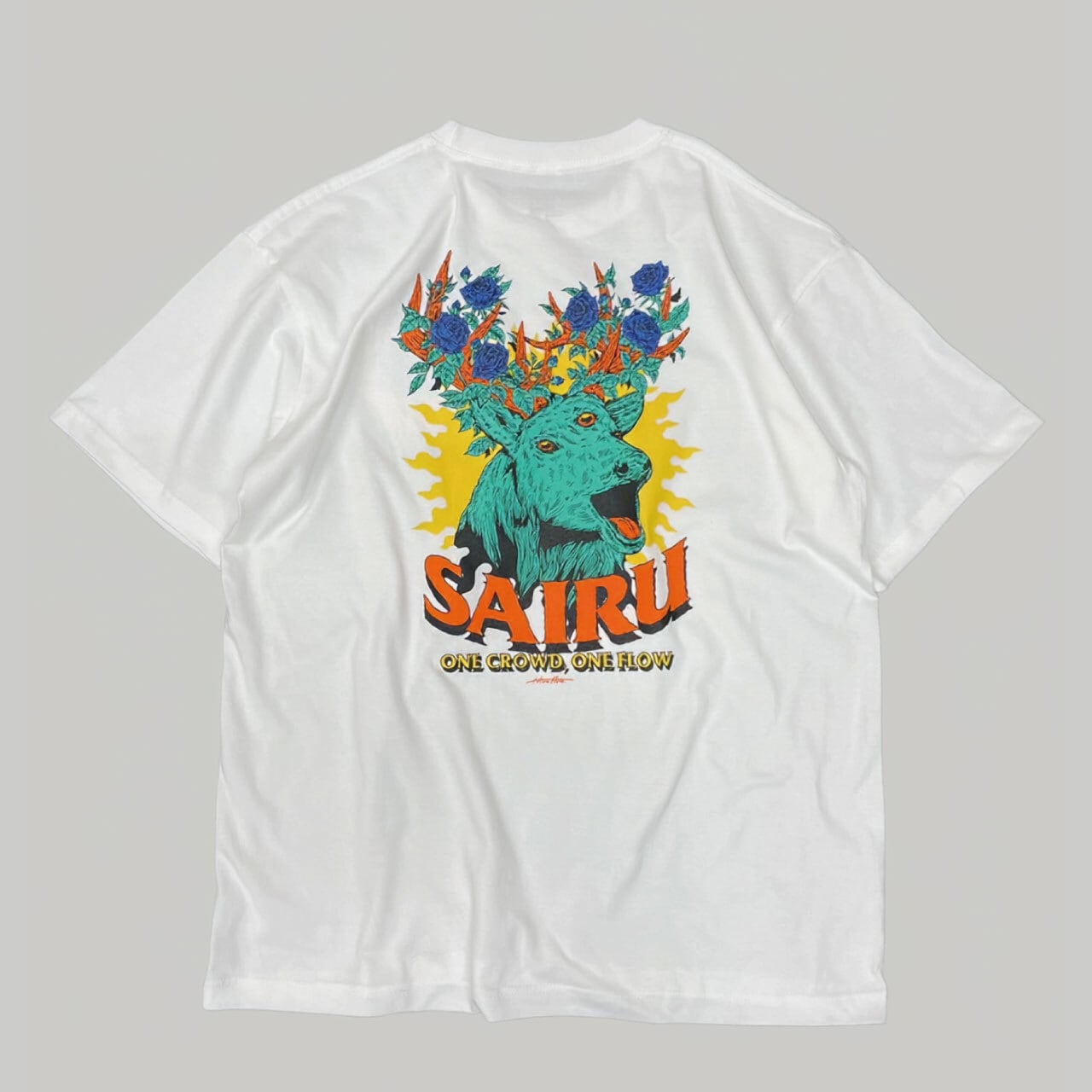 SAIRU × HIROTTON HAILPRINTS T-shirts (White)
