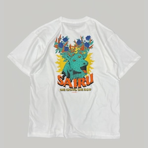 SAIRU × HIROTTON HAILPRINTS T-shirts (White)