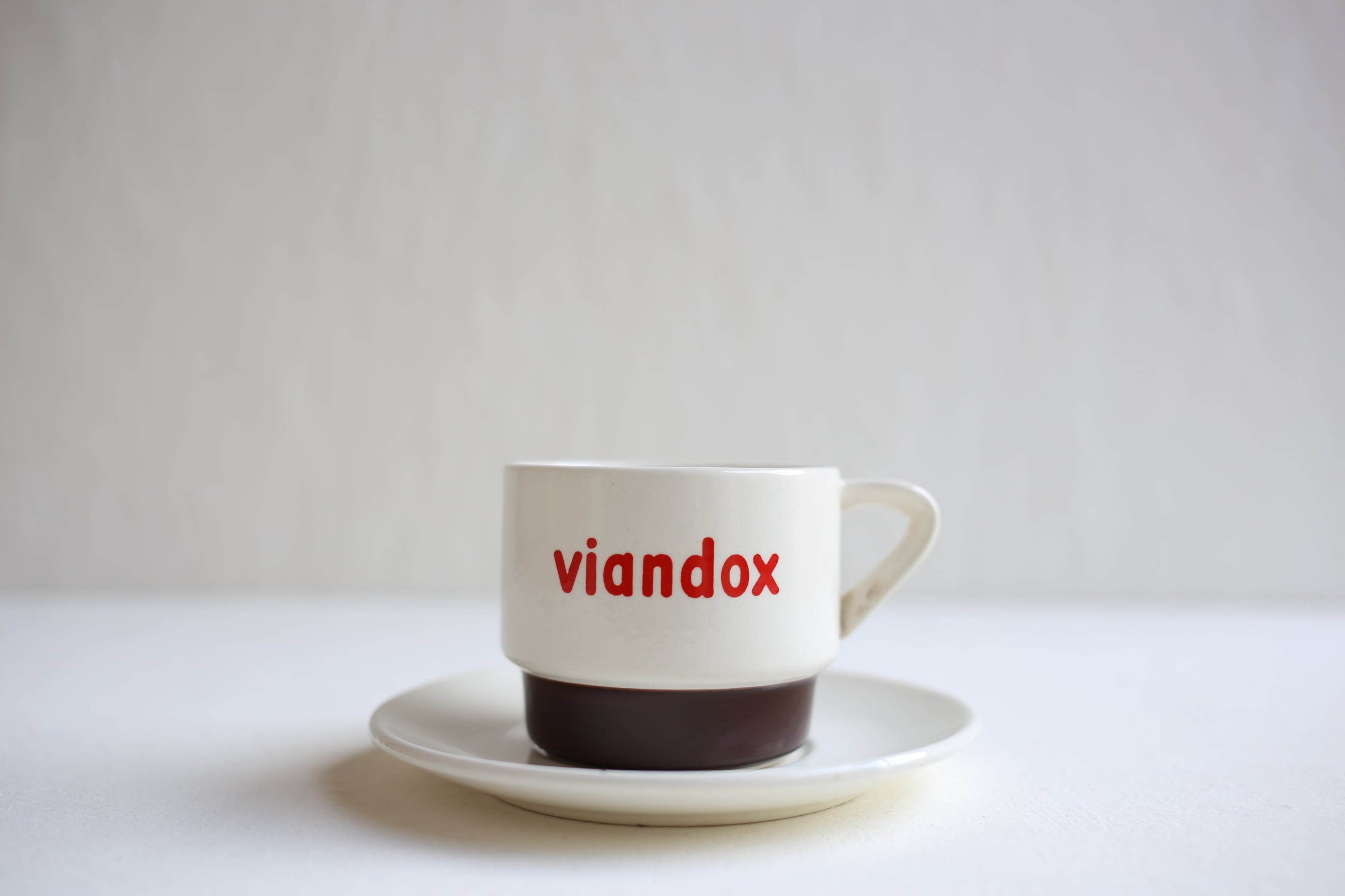 フランス アンティーク ヴィンテージ 『VIANDOX』 カップ＆ソーサー N