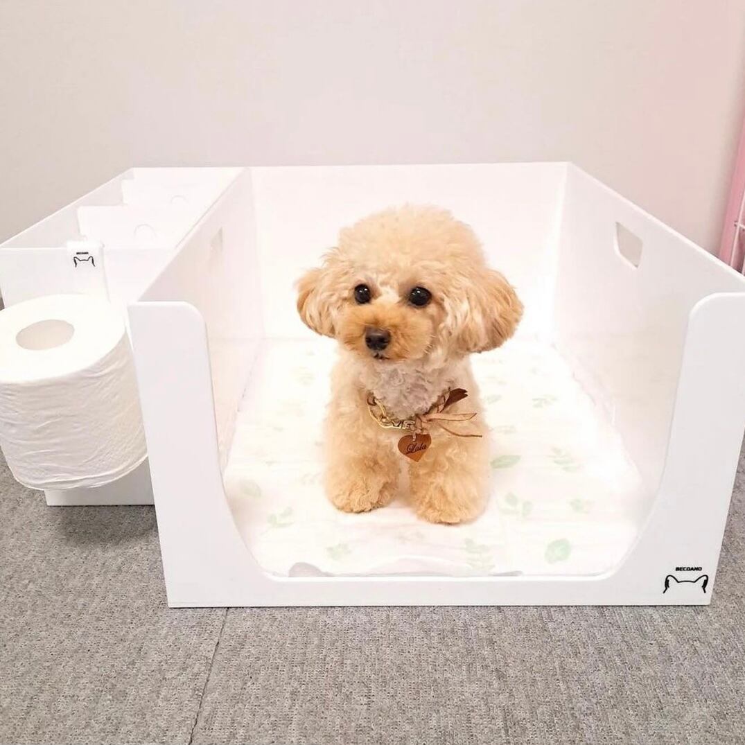 オーダーメイド ペットアクリルトイレ ICHIGOtype ワイドサイズ ペット