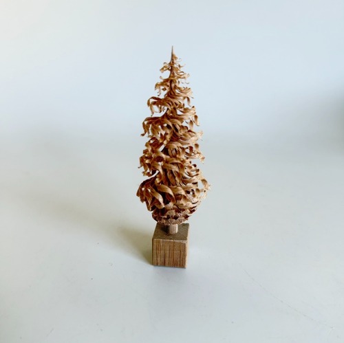 cogu no mori 2025-2026【trim】Ｂ