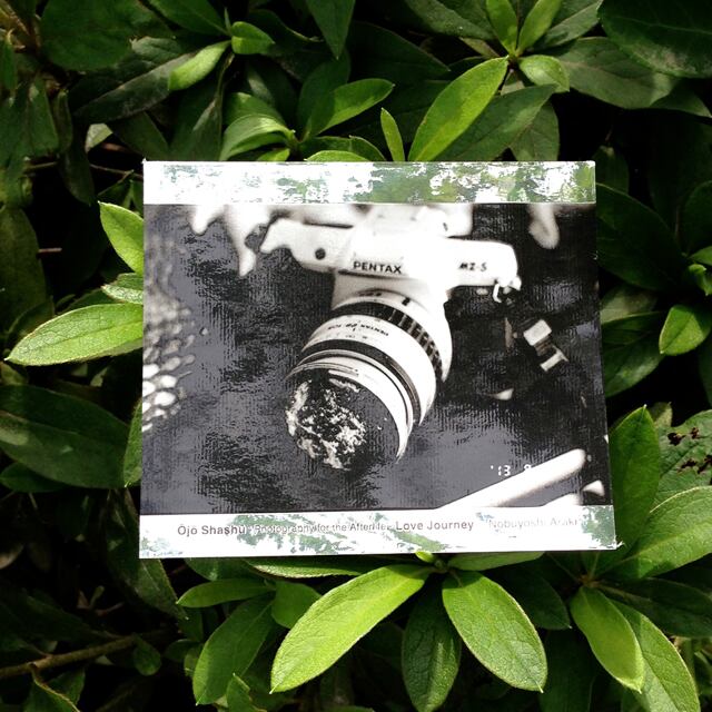 ステッカー カメラ 新潟市美術館ミュージアムショップ ルルル