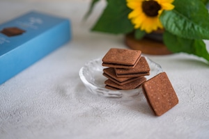 【夏限定】ハニーショコラサンド リープ|ひんやり贅沢チョコスイーツ 5個入