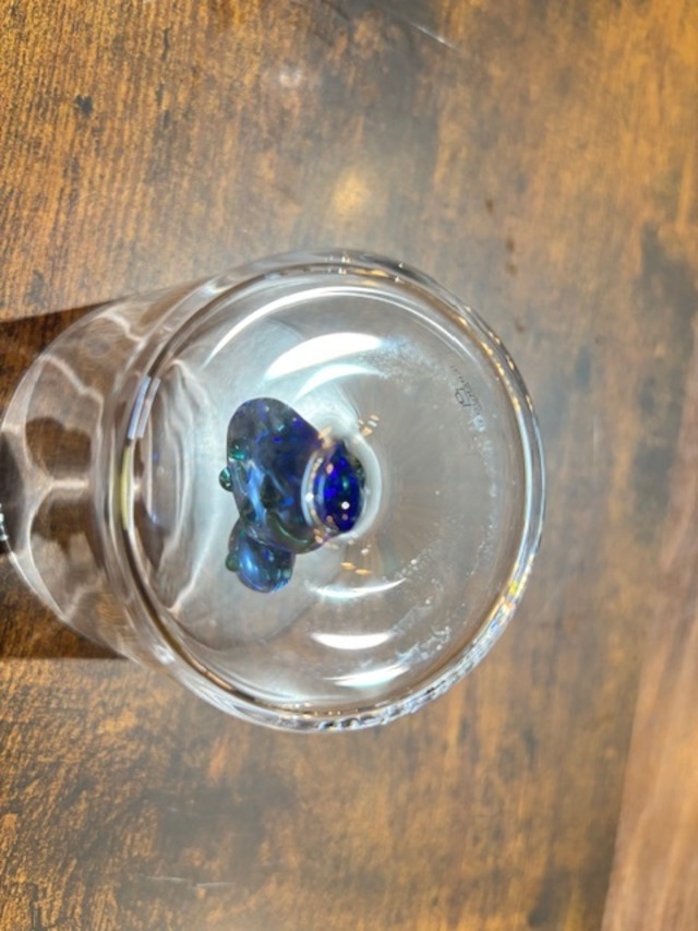 ICHENDORF（イッケンドルフ）ブルーカクタスタンブラー