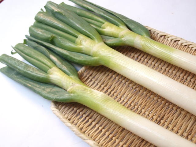 冬季限定!! 野菜計画厳選「鍋用野菜セット」