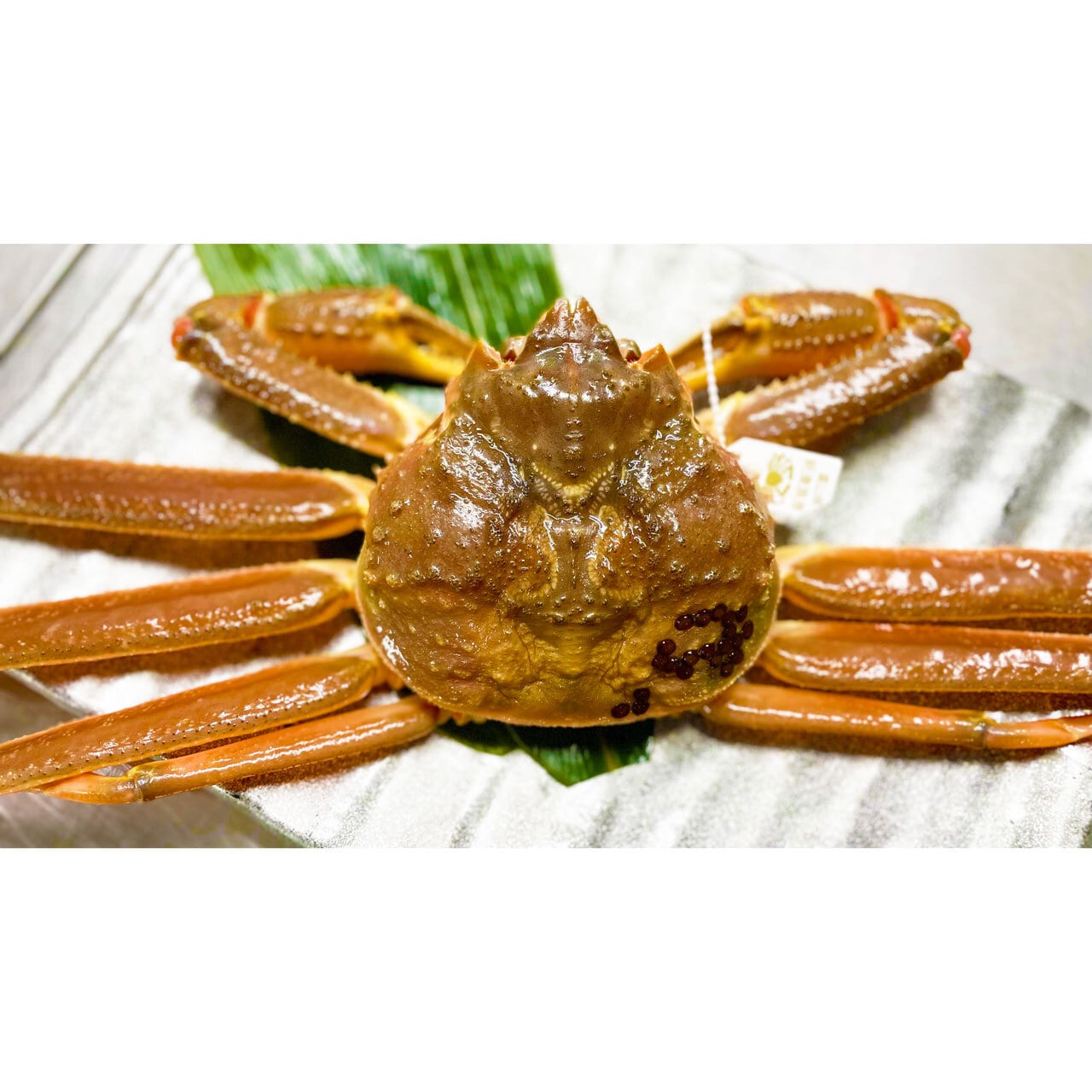 貴重 未使用品 蟹歩作 硬式 稀作 紫陽花 節巻 4本継 133寸 1960年製 貴重 未使用品 蟹歩作 硬式 稀作 紫陽花 節巻 4本継