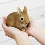 PET BANK RABBIT ペットバンク ラビット