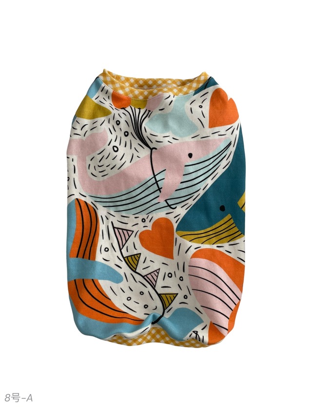 青空研究所・くじら分室（8号）