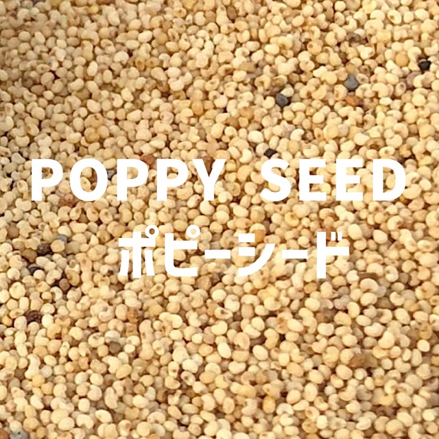【100g】ポピーシード POPPY SEED Poppy Seed 【シードタイプ 】【スパイス 香辛料 調味料 薬膳 料理 味付け 乾燥 ドライ】【nature ナチュール】