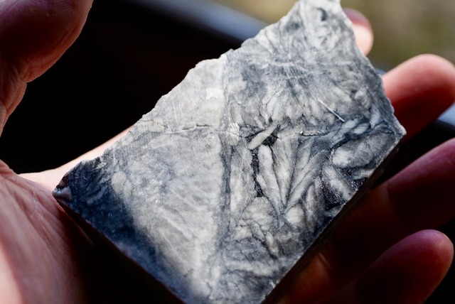 ピノライト Pinolite