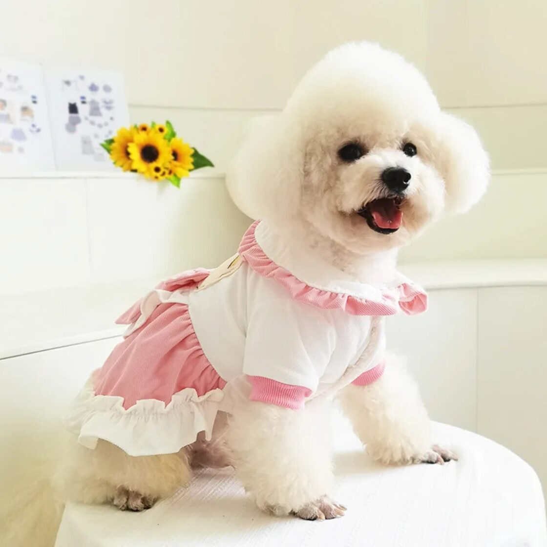 ペットドレス秋冬子犬かわいいスカート猫小型犬漫画シャツヨークシャープードルマルチーズ 大人ガーリー スウィート キュート カジュアル オータム 秋物  ウィンター 冬物 | PAY ID [JUI3N] ペットベッド スクエア型 カーキ 洗える かわいい 猫 小型犬 中型犬 大型犬 オールシーズン 冬用 通年 ふわふわ
