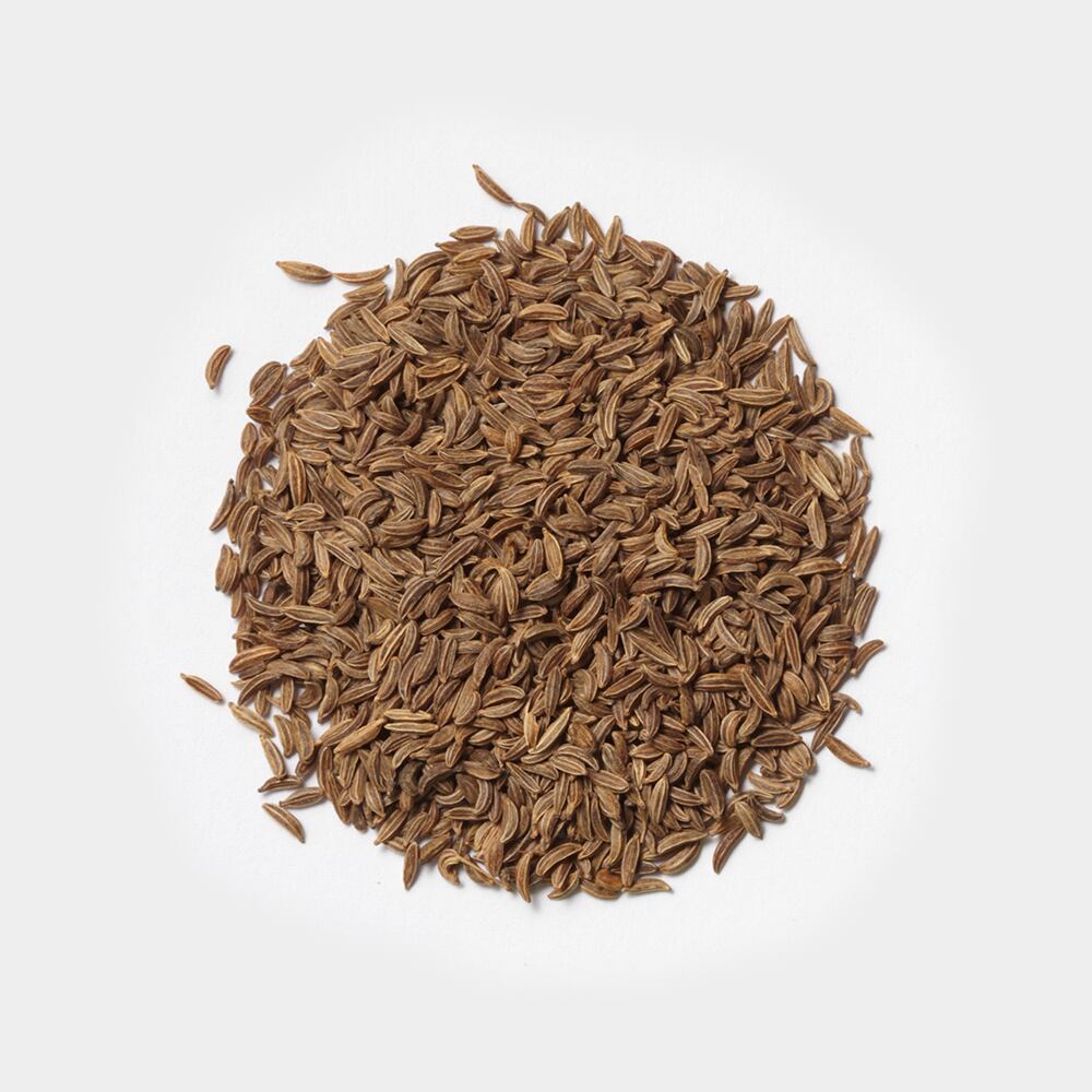 シングルハーブ キャラウェイ(ミニ20g)