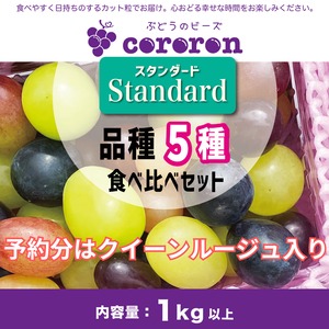 【スタンダードパック】皮ごと食べられる！種なしぶどう粒の詰め合わせ「ぶどうのビーズ 〜cororon〜」品種５種　１kg