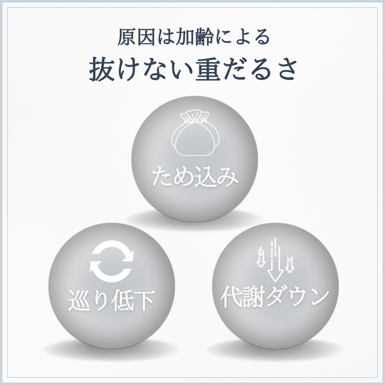 憧れの軽やかなコンディションへ 巡りスイッチセット