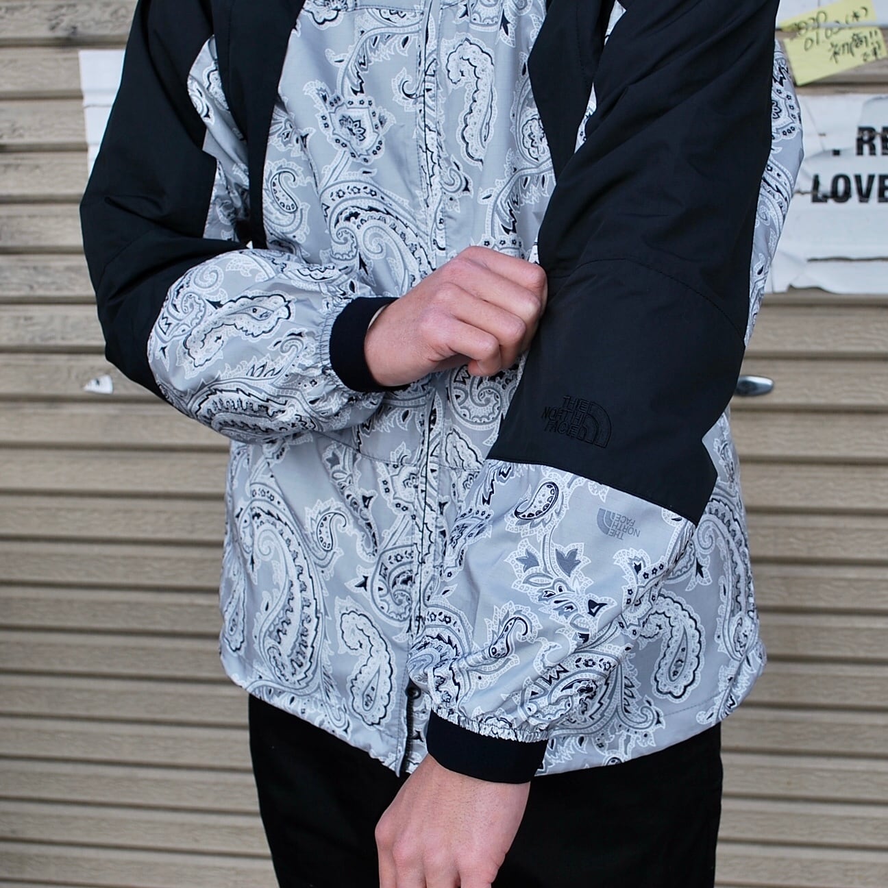THE NORTH FACE PURPLE LABEL Paisley Print Mountain Wind Parka | wagon